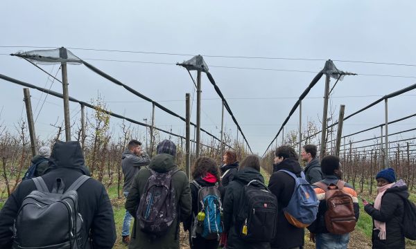 About us - copertina